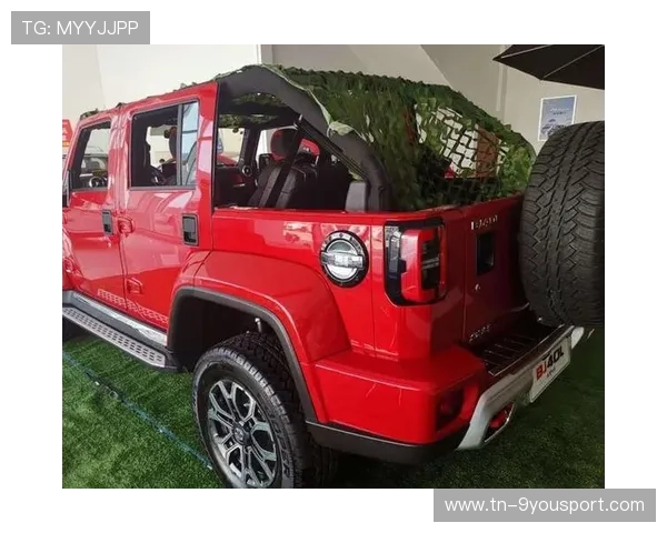 车迷投票：你心中的年度最佳车手，车迷爱好者介绍