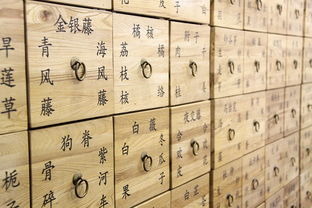 九游官网入口活动-中国篮球青训体系中跨学科训练方法应用分析，跨篮球教学