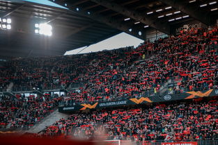 九游娱乐app-球场环境改善：未来足球场的绿色设计，足球场地设施建设规划