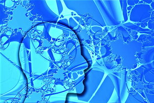 九游网页官网-中国足球联赛市场营销策略创新升级，中国足球市场化现状