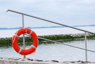 九游.中国官网-游泳与水球队协同训练提高整体表现,游泳联合组队